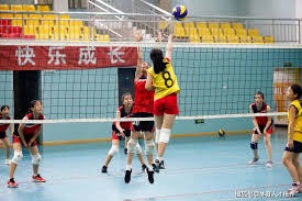 常规赛1月3日：雷霆VS勇士 亚历山大集锦