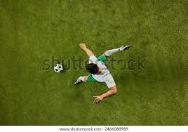 乒乓球团体赛动态